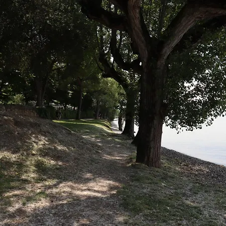 Monika 725 Relax Appartamento