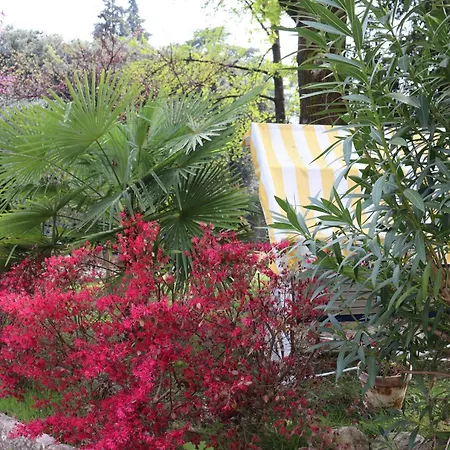 Monika 725 Relax Appartement Garde