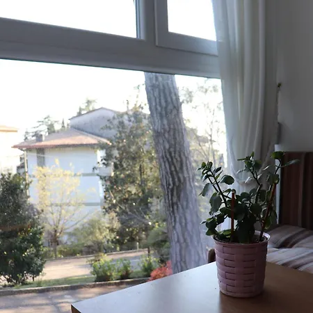 Monika 725 Relax